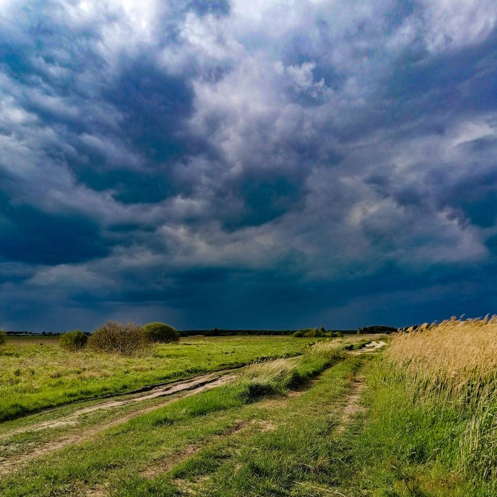 Photograph by Ekaterina