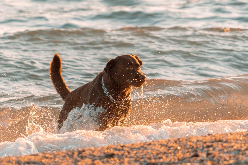 Photograph by Роман Надточий