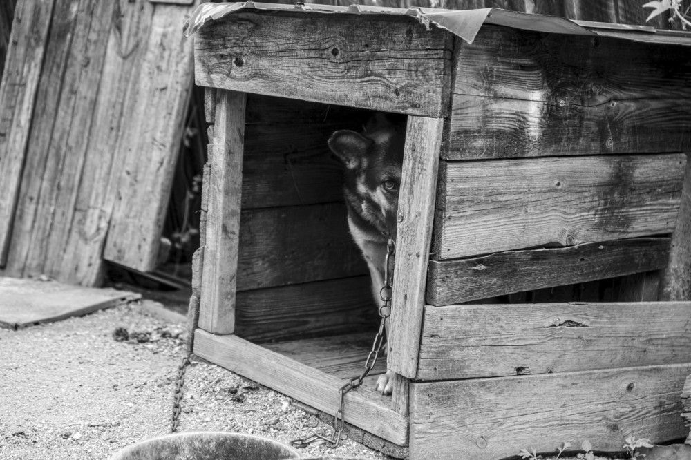 Photograph by Сергей Марков