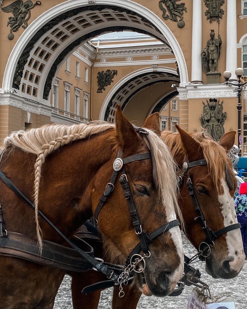 Photograph by Валерия Кутуева