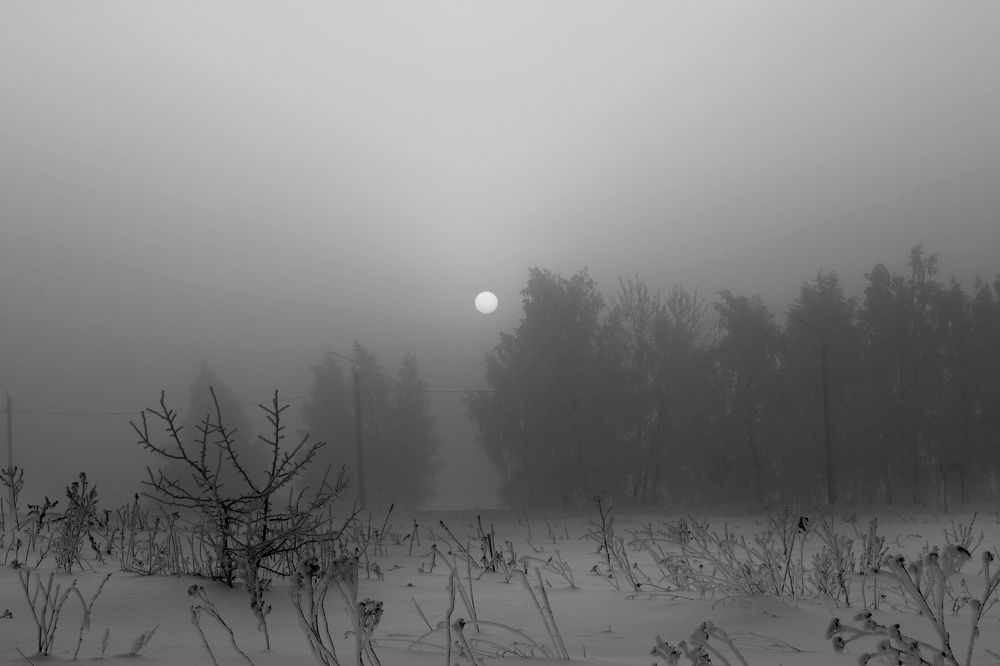 Photograph by Инна Карасева