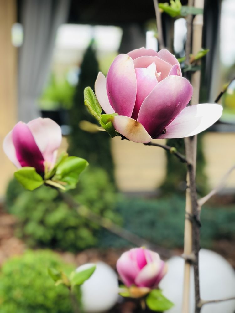 Photograph by Ирина Панюк