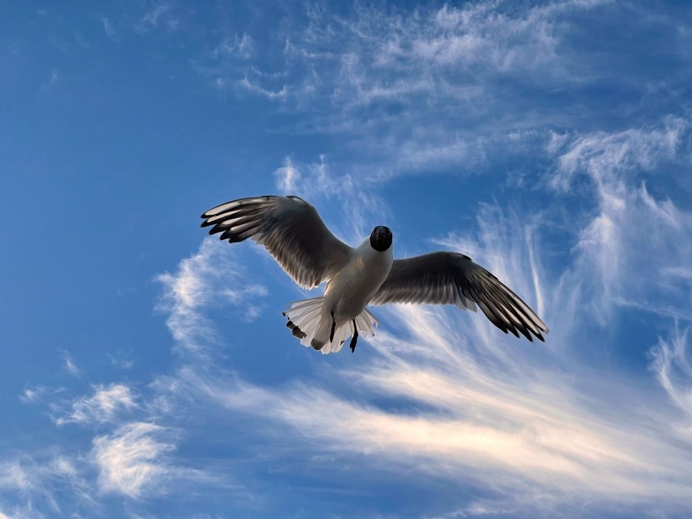 Photograph by Galina Baranovskaja