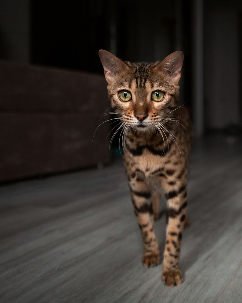 Photograph by Илья Володьков