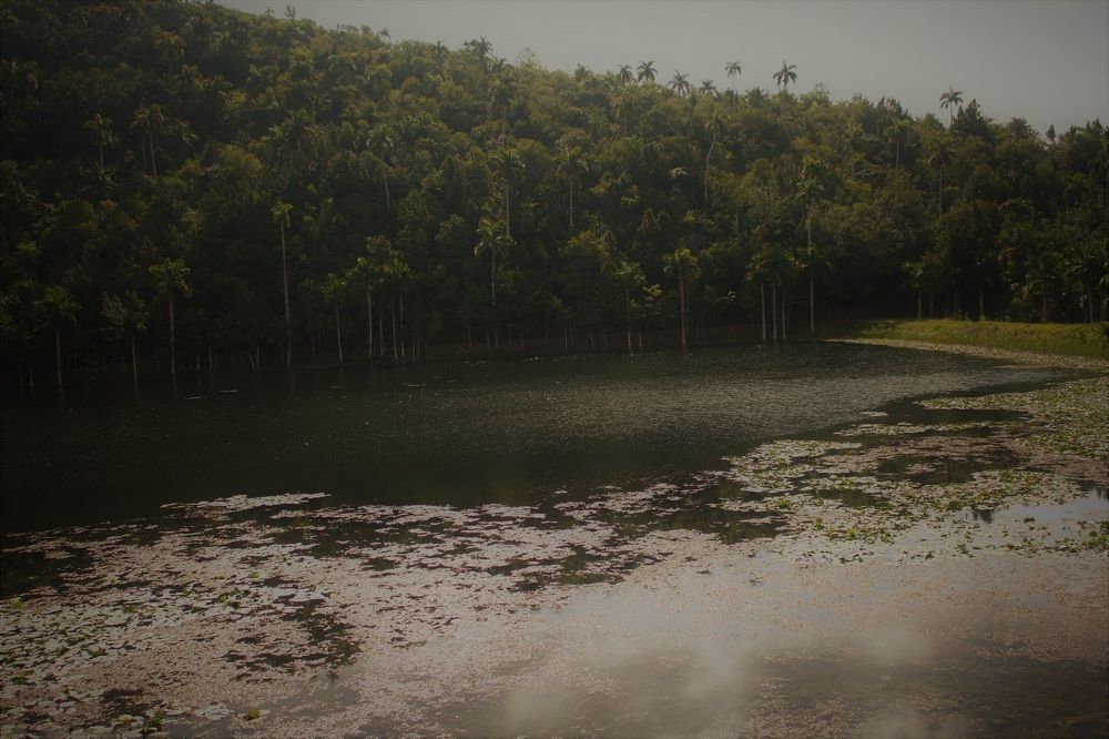 Photograph by Eduardo Gómez