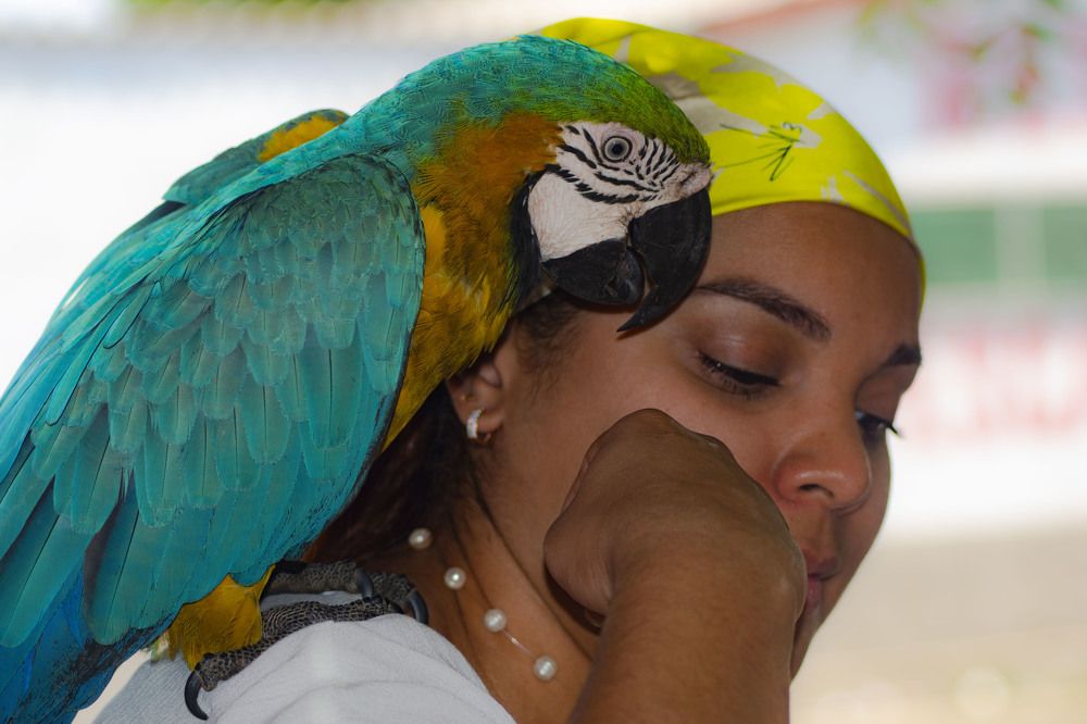 Фотография автора Yako Laverde