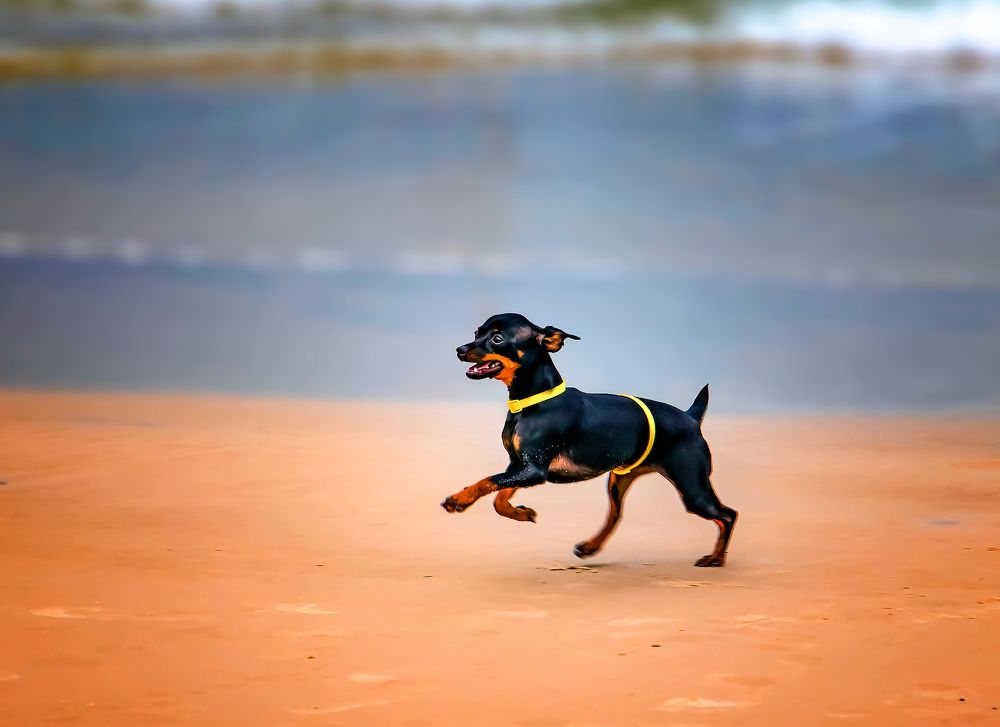 Photograph by Everton Medeiros