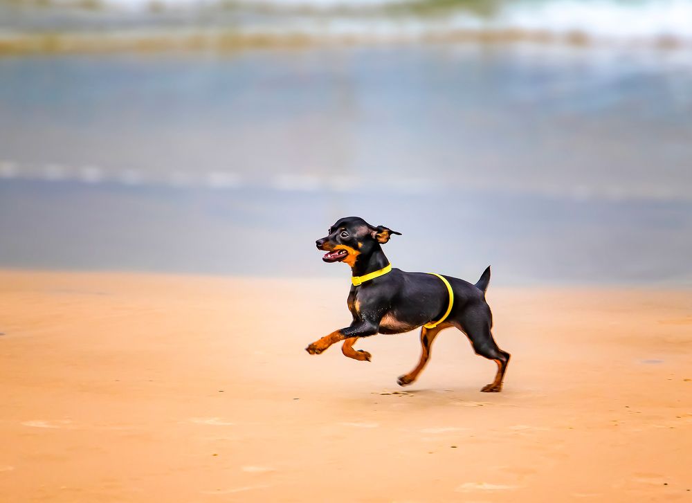 Photograph by Everton Medeiros