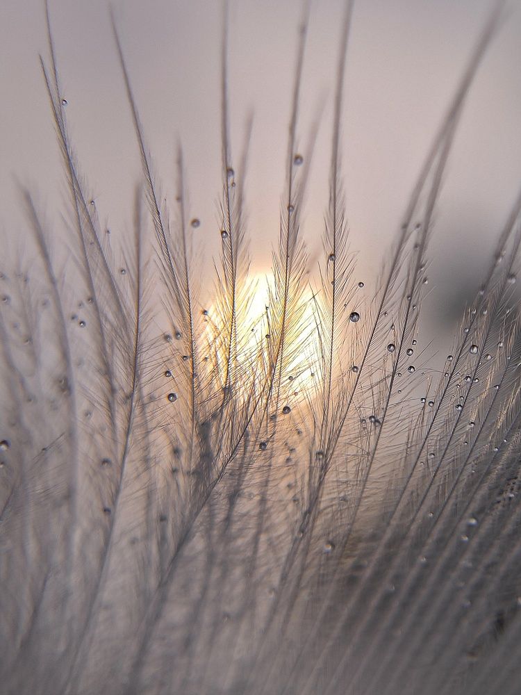 Photograph by Taj Singh Samanta