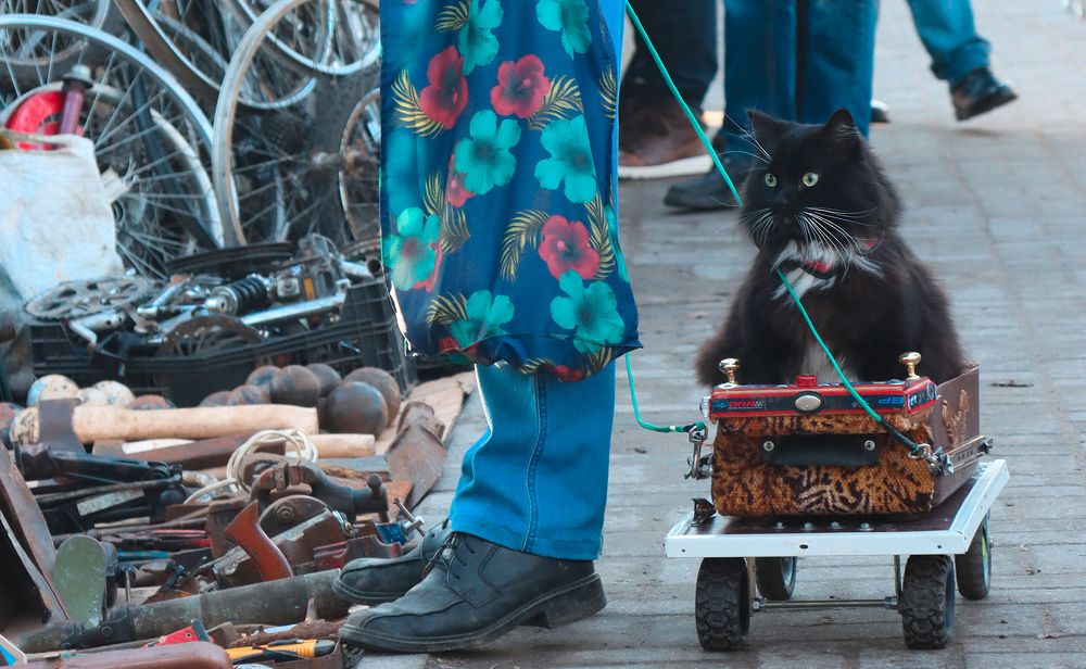 Фотография автора Vadim Svirin