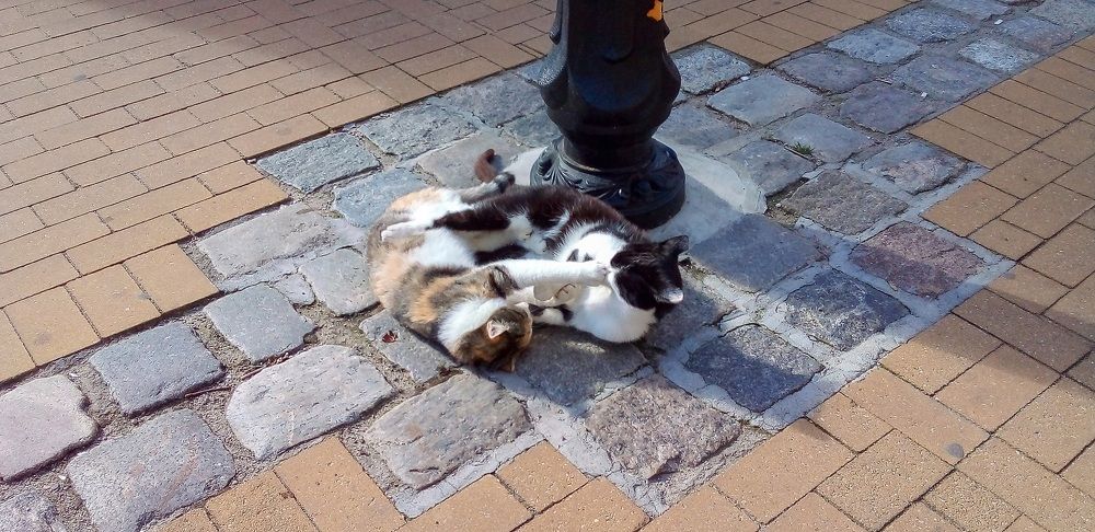 Photograph by Оксана Кузнецова