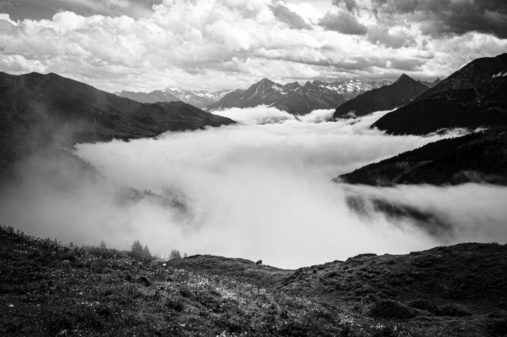 Photograph by Sven Svensøn