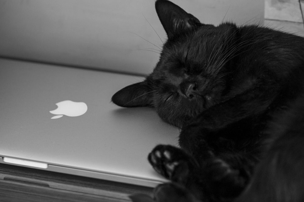 Photograph by Сергей Марков