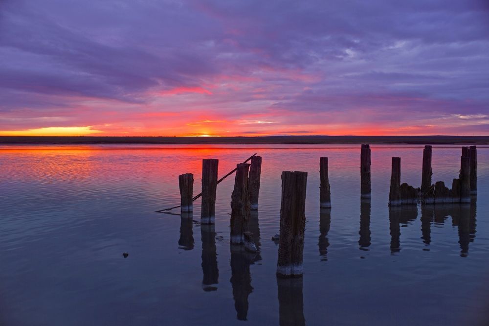 Photograph by Юлия Гаранина