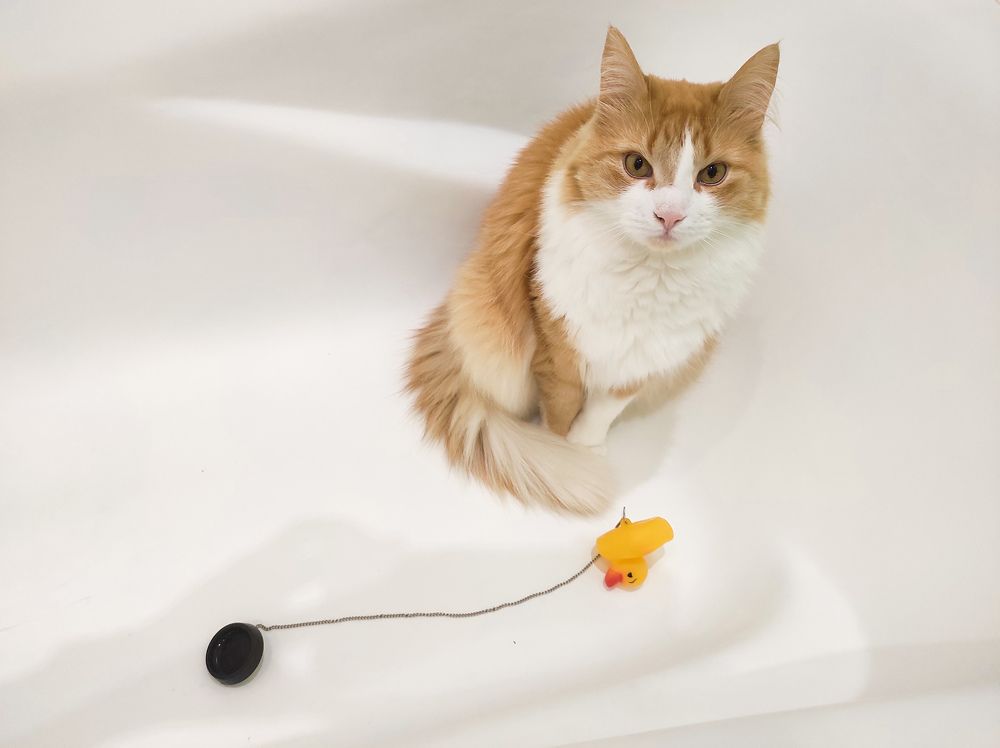 Photograph by Дмитрий Батраков