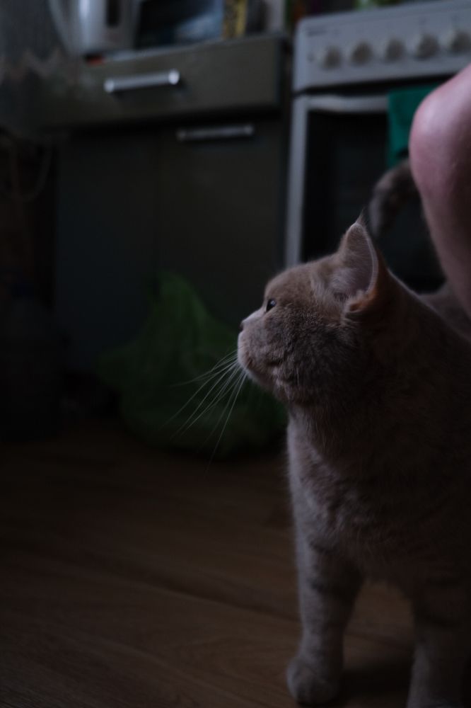 Photograph by Sergey Kashnikov