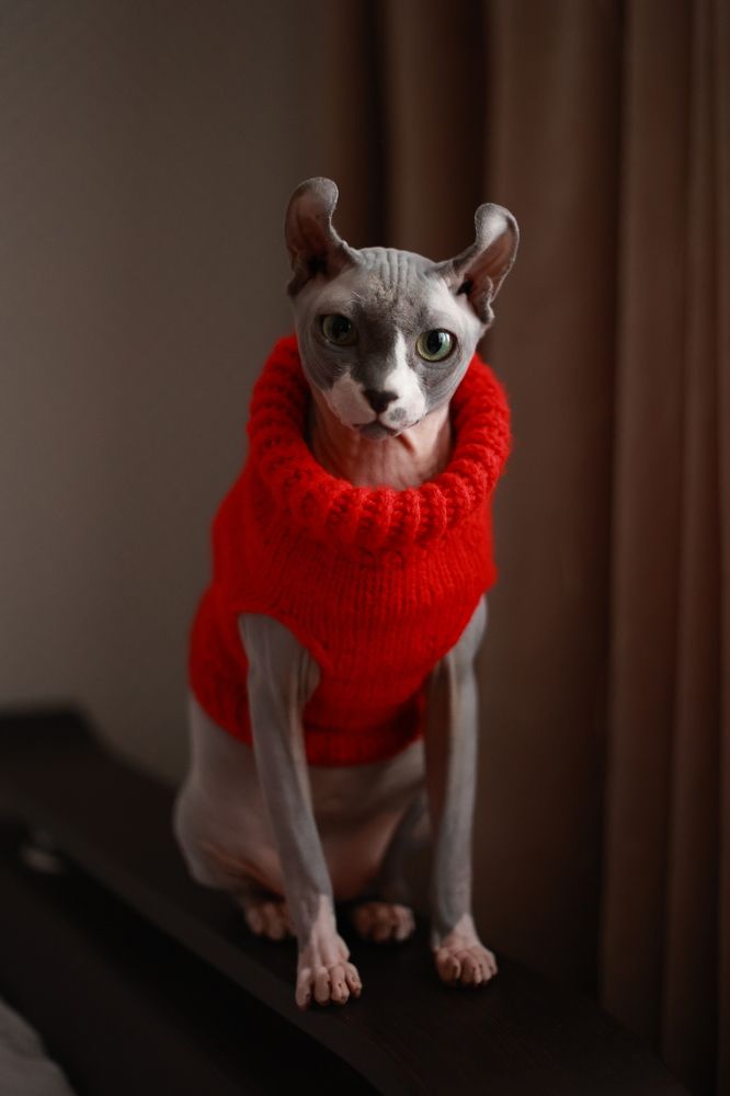 Photograph by Светлана Хижняк