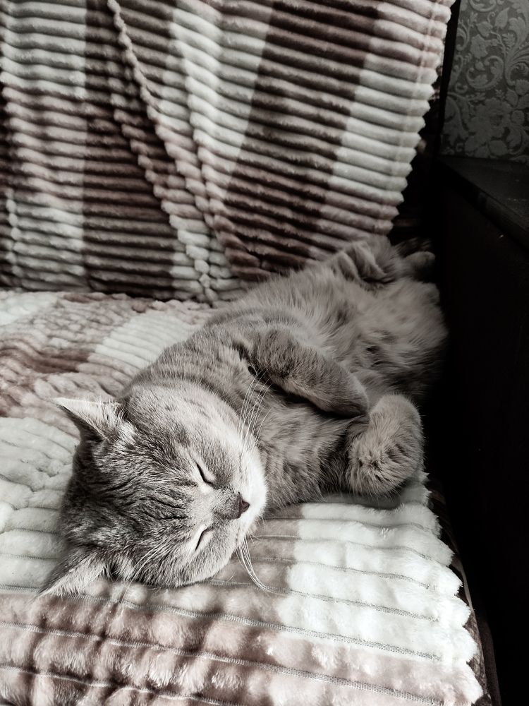 Photograph by Sergey Kashnikov