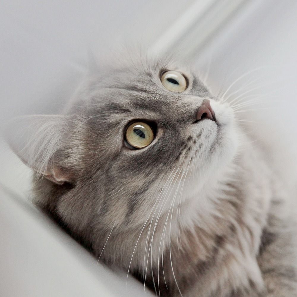 Photograph by Елена Кондратьева