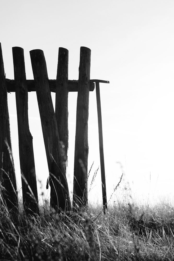 Photograph by Виктория Хмара