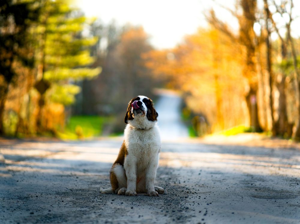 Something Looks Yummy in my dreams!