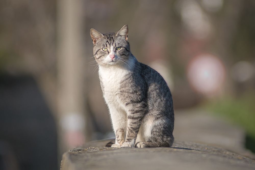 Photograph by Владимир Гавриленко