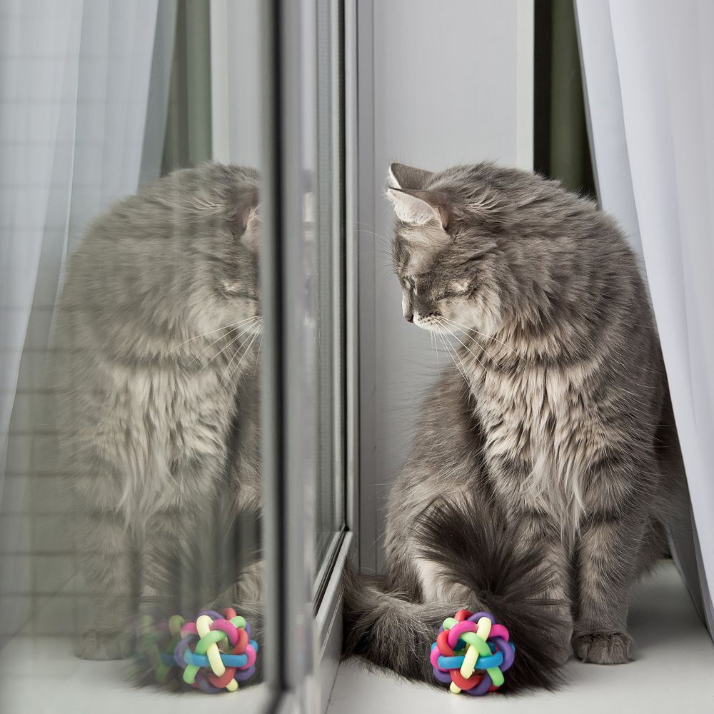 Photograph by Елена Кондратьева