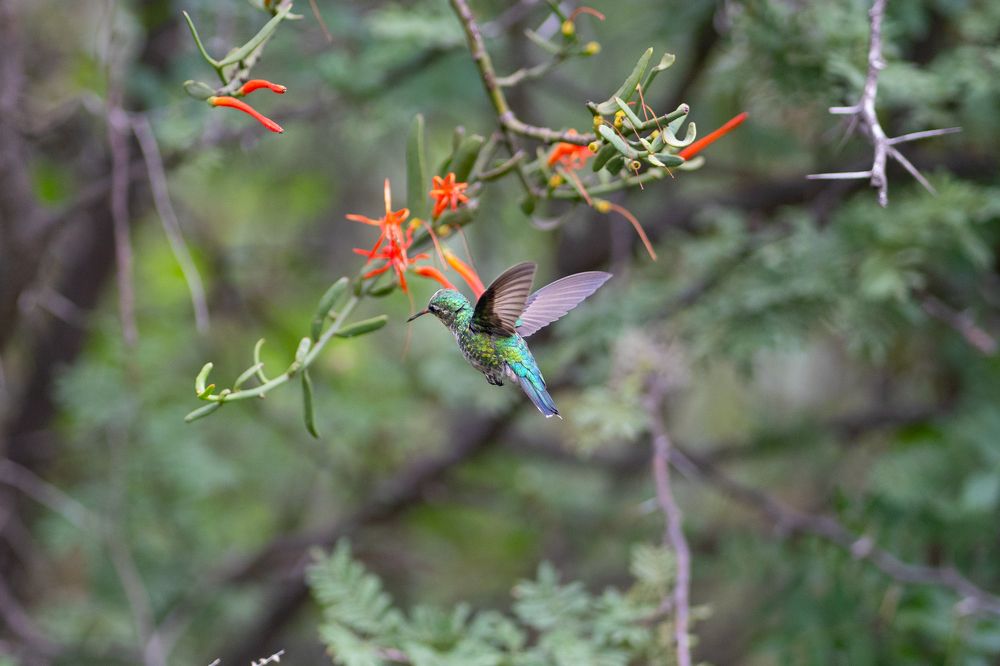 Photograph by david Busseti