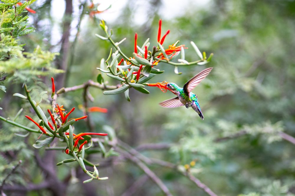 Photograph by david Busseti