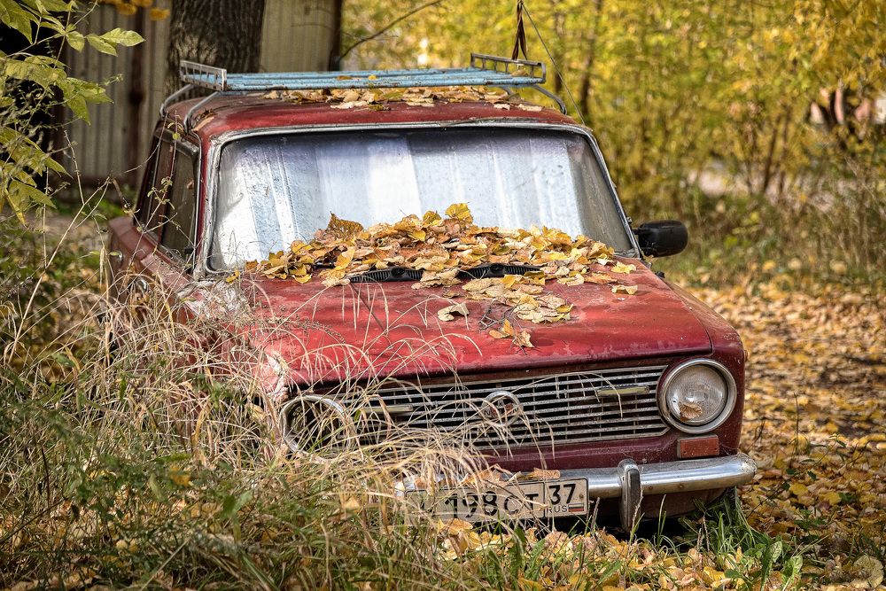 Photograph by Белевитин Михаил