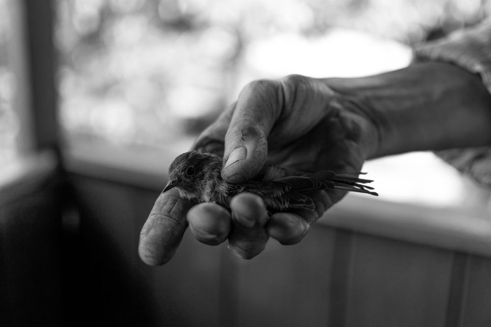 Photograph by Наталья Мерончук