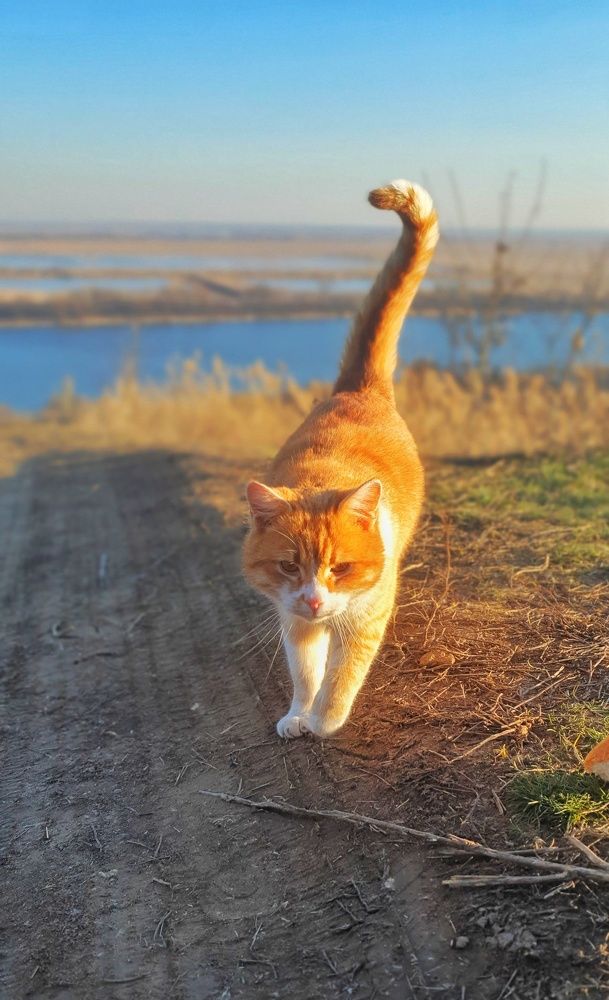 Photograph by Максим Королёв