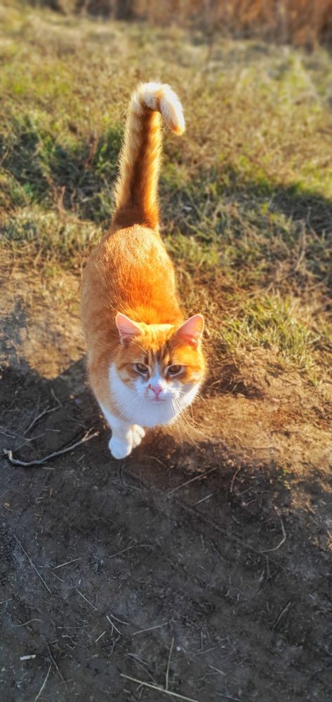 Photograph by Максим Королёв