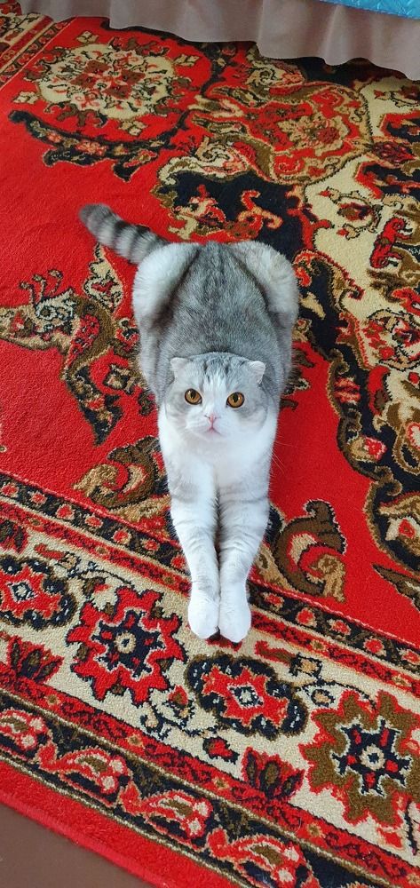 Photograph by Максим Королёв