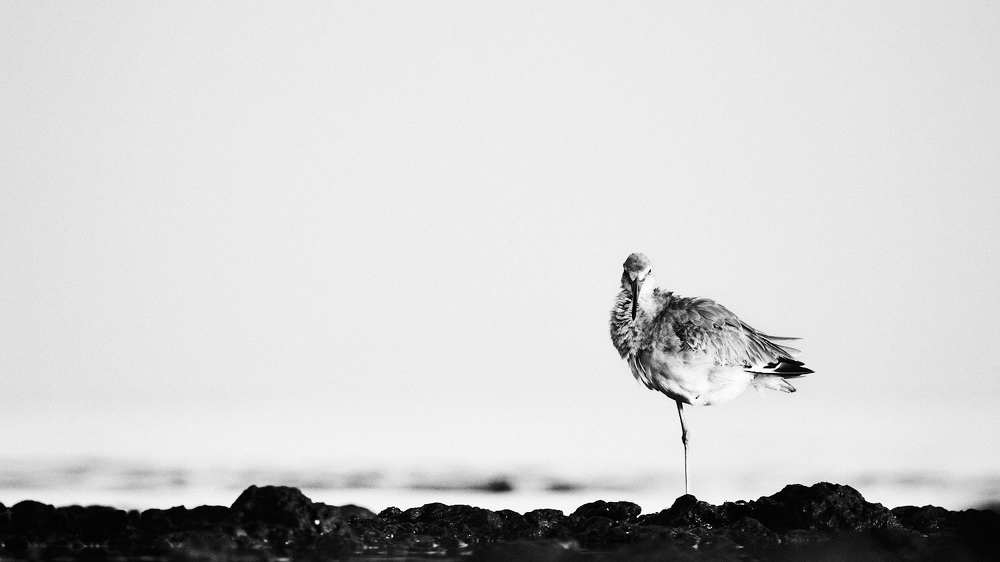 Photograph by Carlos Manuel Peguero Gomez