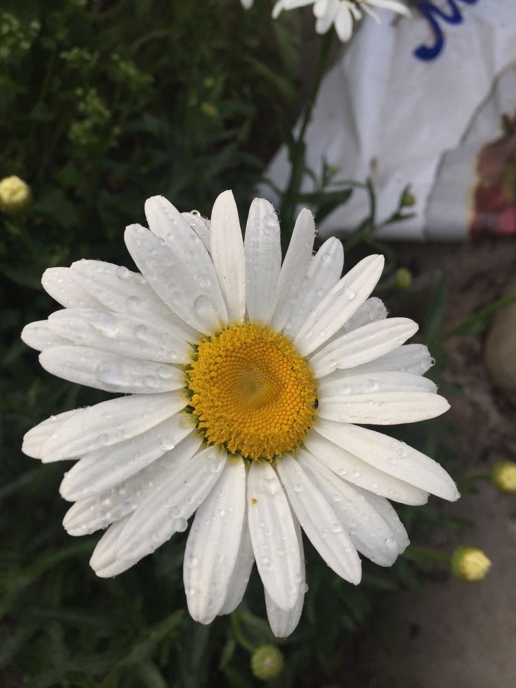 Фотография автора Алянур Юлдашева