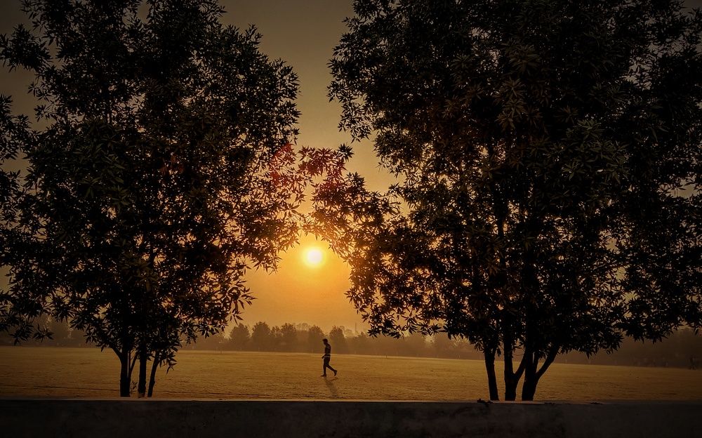 Photograph by Nikunj M Makwana