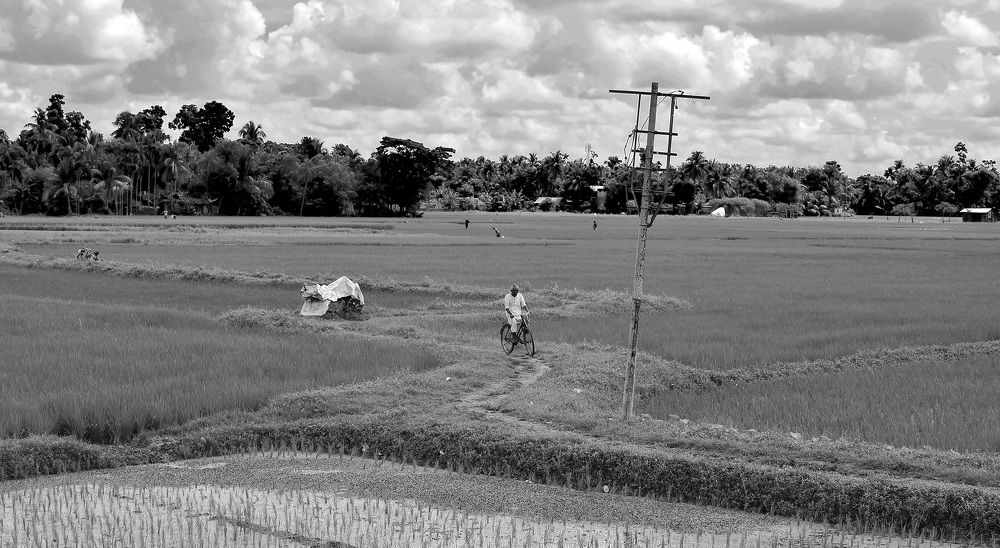 Photograph by SUBRATA DAS
