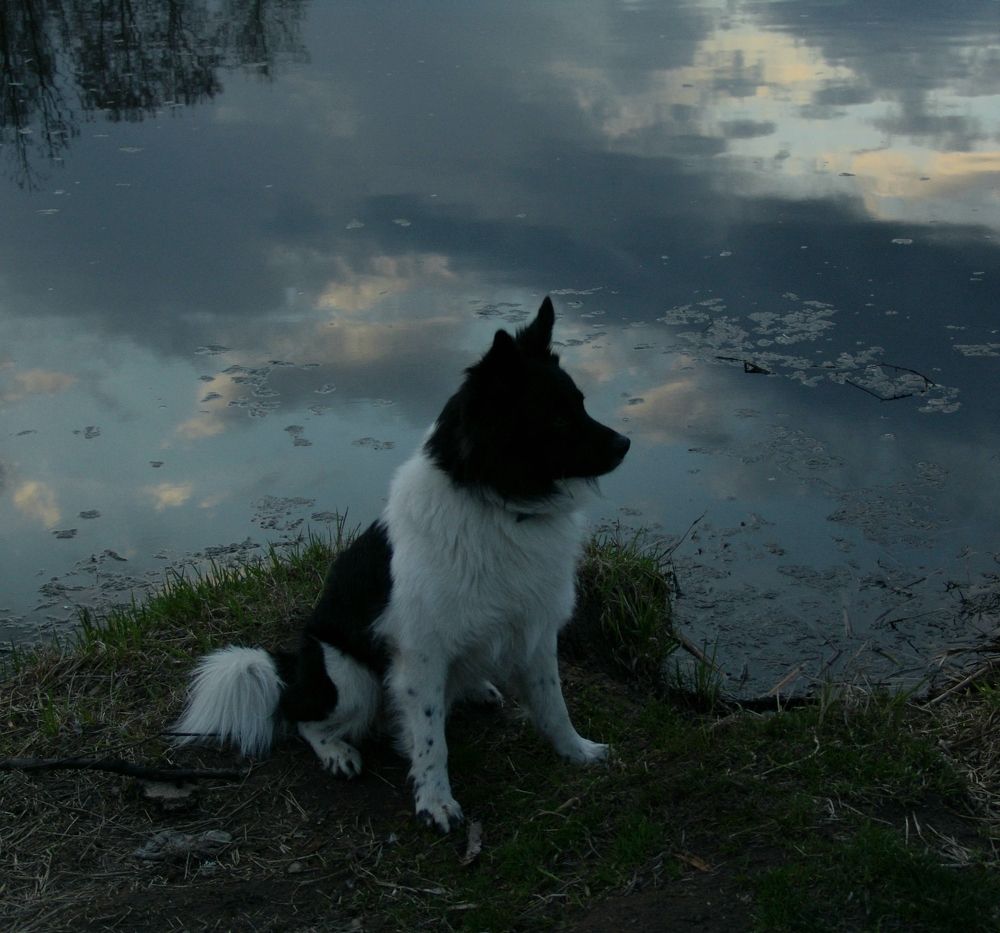 Photograph by Олеся