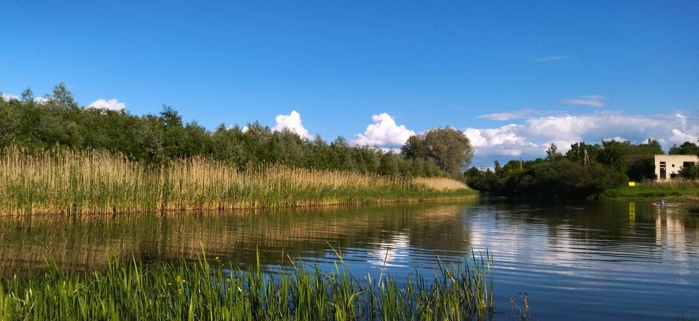 Отдых на речке