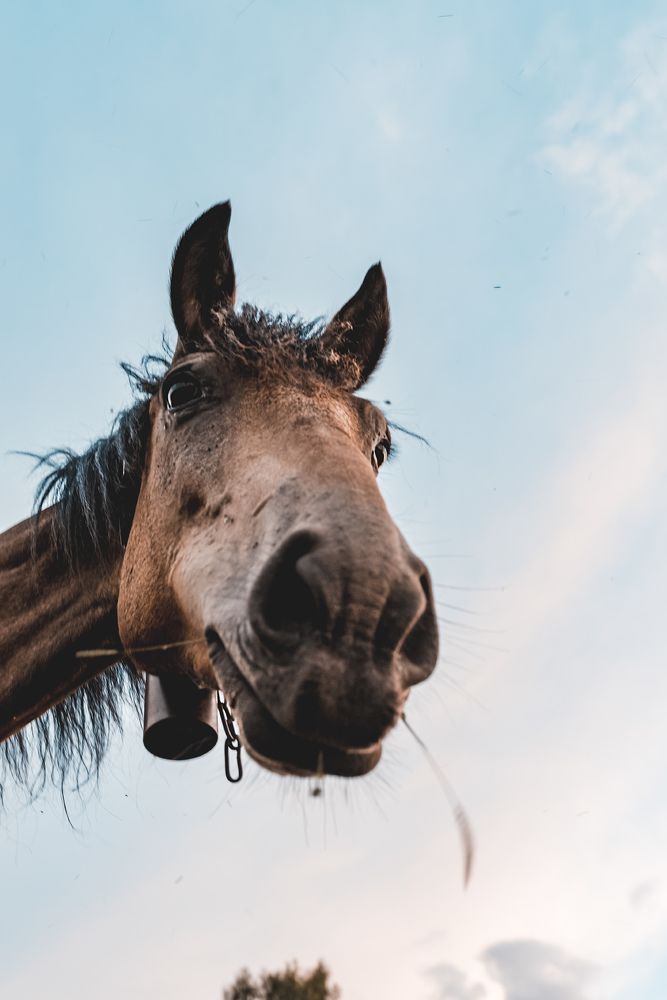 Photograph by Sergey Lexin