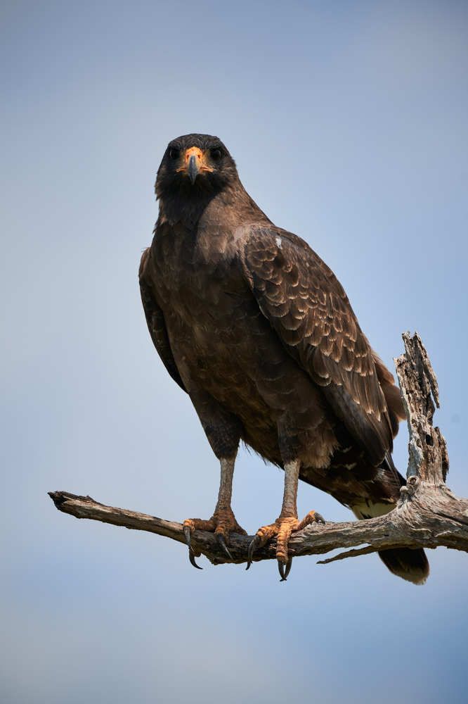 Photograph by Carlos Manuel Peguero Gomez