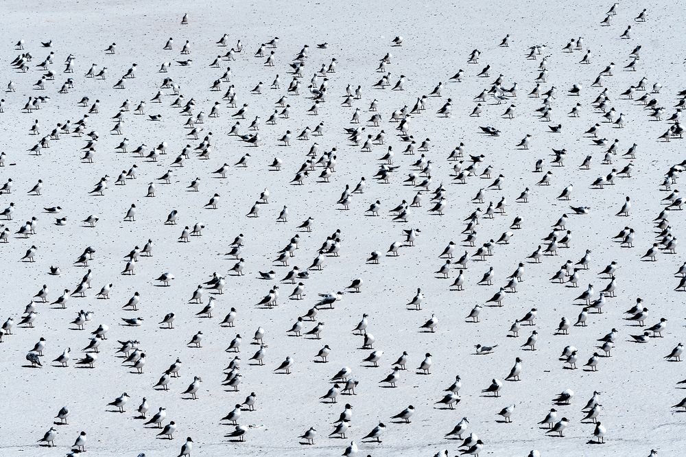 Photograph by Shahul valasy