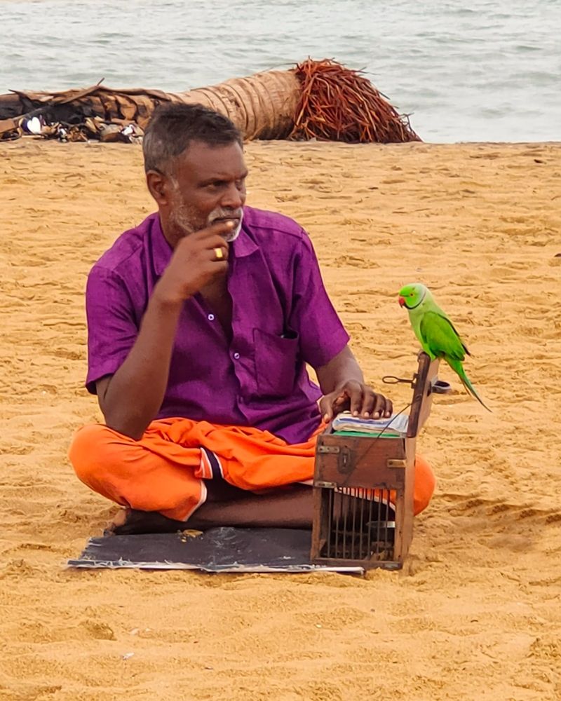 Photograph by Ajeesh A