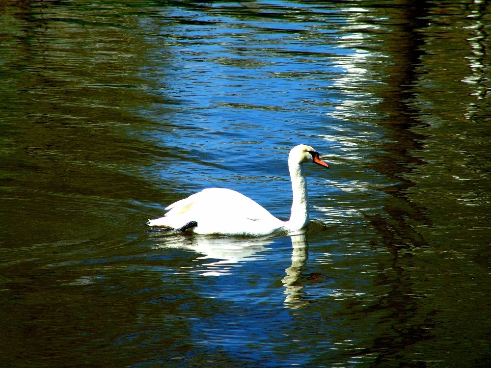 Photograph by Олеся