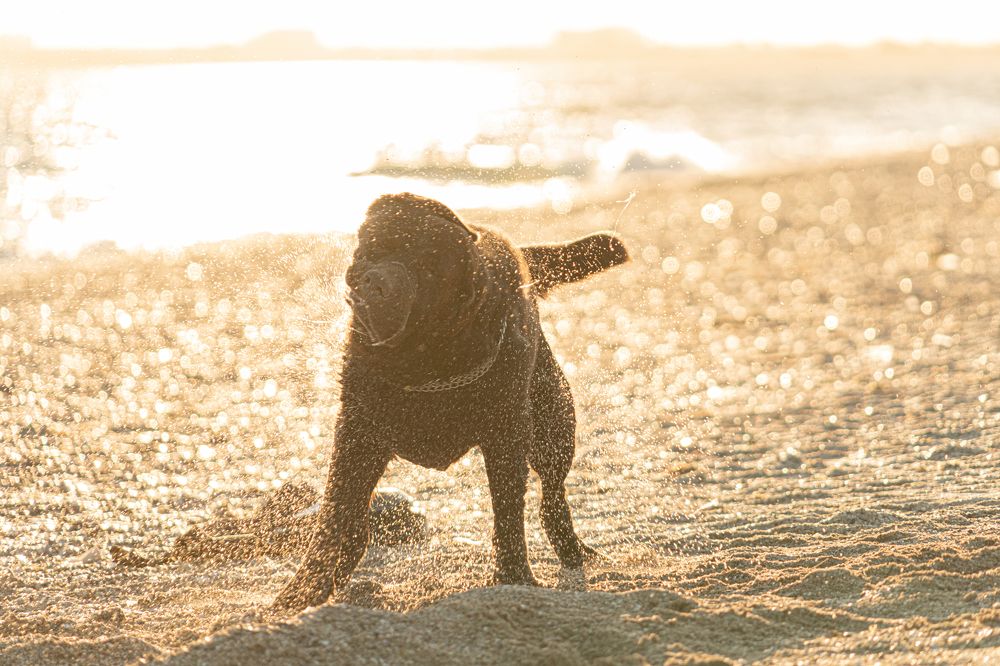 Photograph by Наталья Головатая