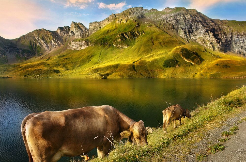 Photograph by Elena Wymann