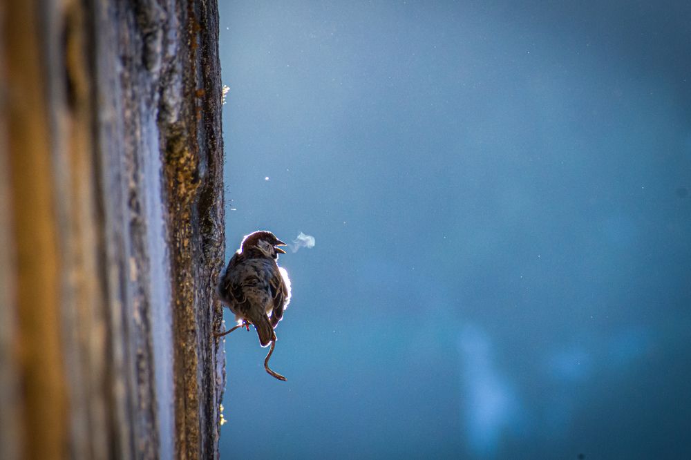 Photograph by Nath Sai