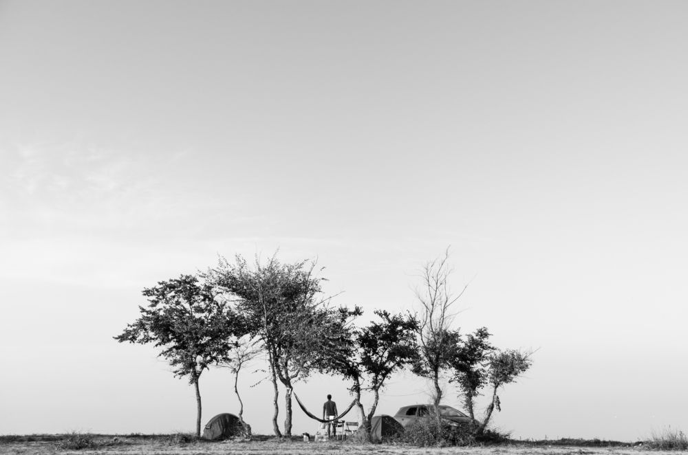 туман на косе