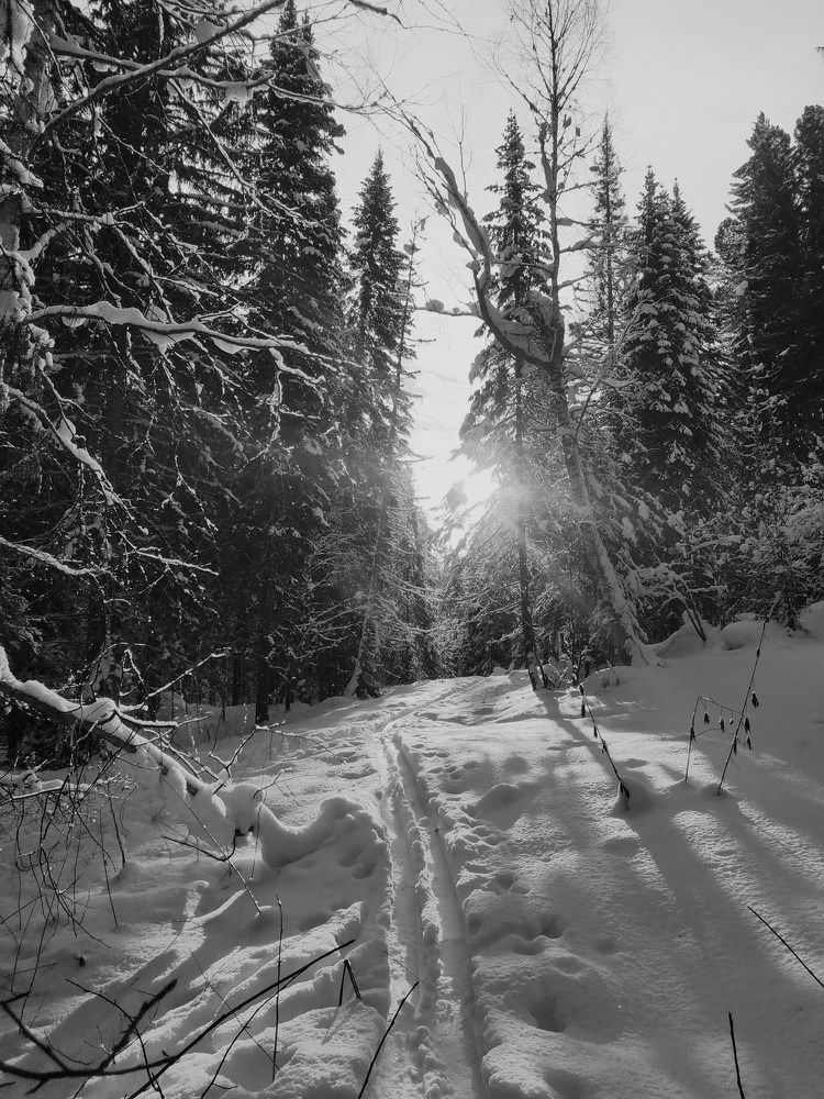 Photograph by Екатерина Евгеньевна